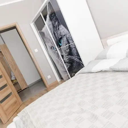 Bright And Comfy Old Town Perfect View Apartmán Gdaňsk